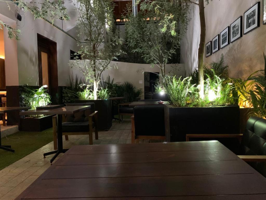 Frontera 49 Roma Norte Hostal Mexico City Luaran gambar